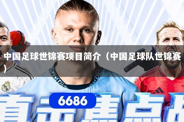 中国足球世锦赛项目简介（中国足球队世锦赛）